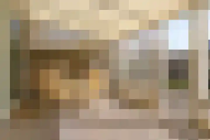 Hannolaan 30 Utrecht thumbnail 23