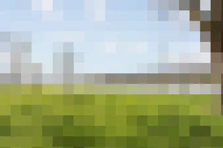 Hannolaan 30 Utrecht thumbnail 25