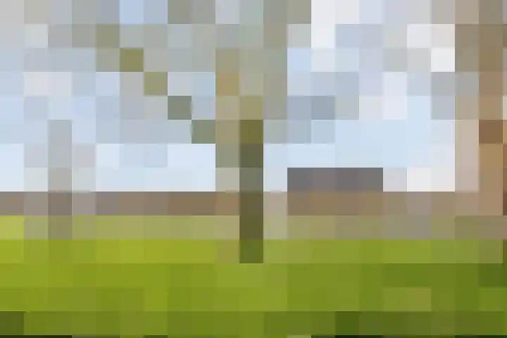 Hannolaan 30 Utrecht thumbnail 26