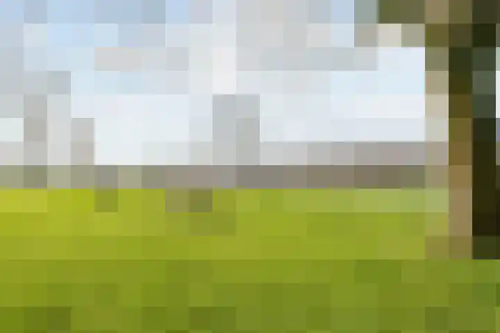 Hannolaan 30 Utrecht thumbnail 27