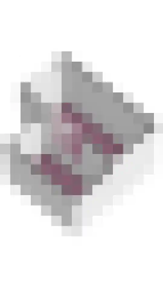Hannolaan 30 Utrecht thumbnail 36