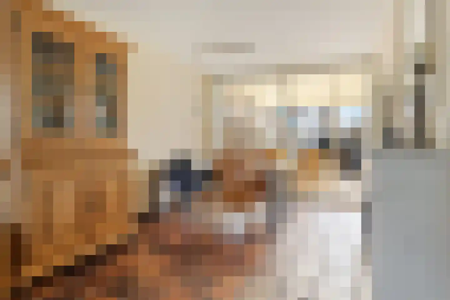 Hannolaan 30 Utrecht thumbnail 4