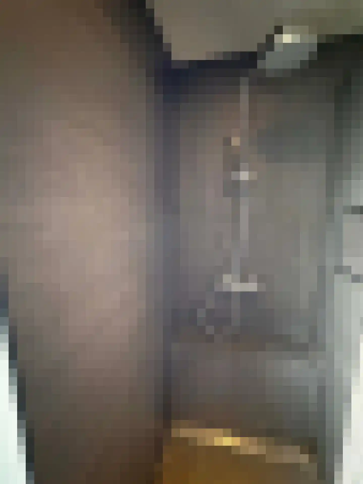 Hanny Schaftstraat 1 Coevorden thumbnail 18