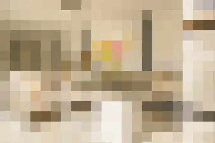 Hanrathsingel 15 Laren thumbnail 20