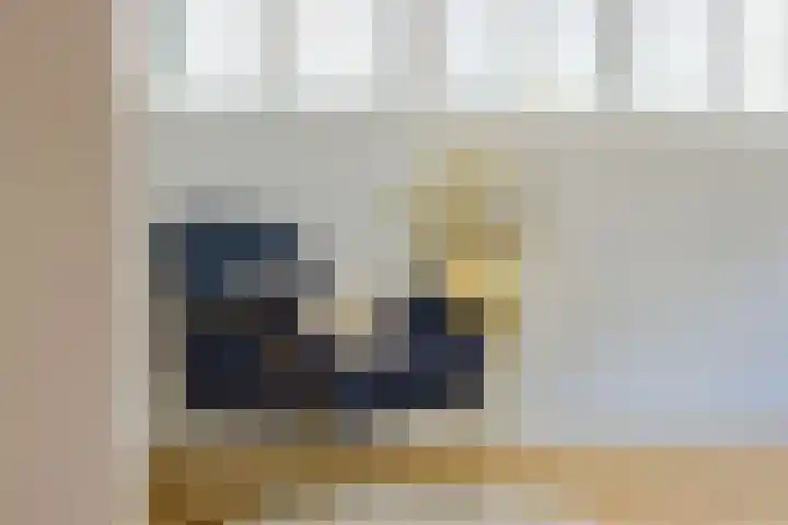 Hanrathsingel 15 Laren thumbnail 24