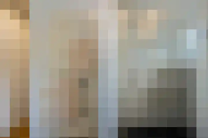 Hanrathsingel 15 Laren thumbnail 29