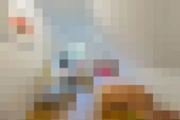 Hanrathsingel 15 Laren thumbnail 33