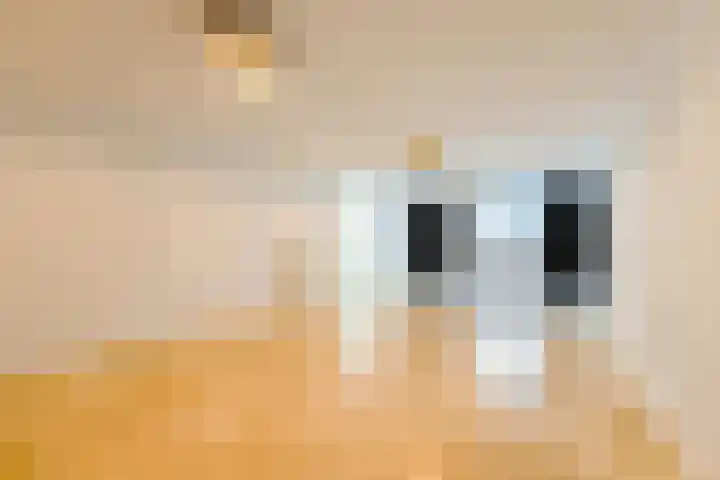Hanrathsingel 15 Laren thumbnail 40