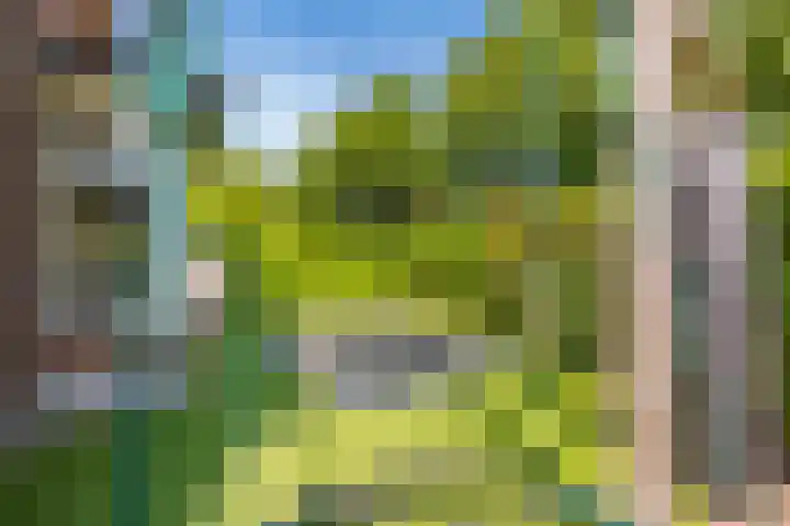 Hanrathsingel 15 Laren thumbnail 48