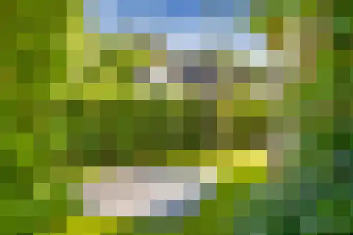 Hanrathsingel 15 Laren thumbnail 49