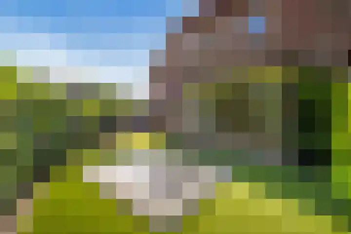 Hanrathsingel 15 Laren thumbnail 50