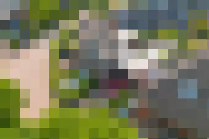 Hanrathsingel 15 Laren thumbnail 53