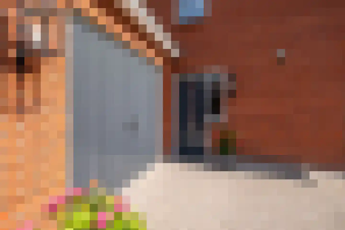 Hanrathsingel 17 Laren thumbnail 12