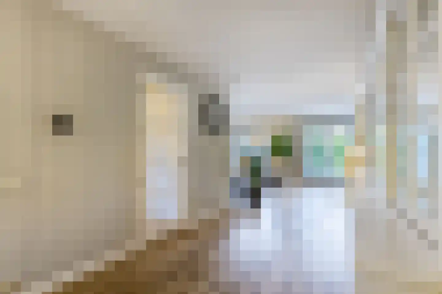 Hanrathsingel 17 Laren thumbnail 14