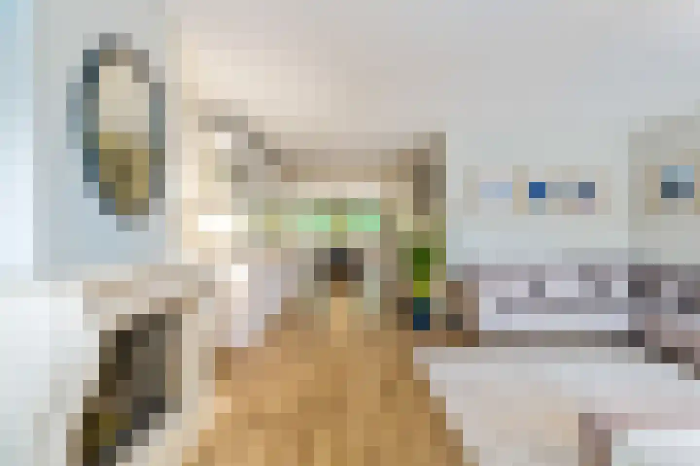 Hanrathsingel 17 Laren thumbnail 17
