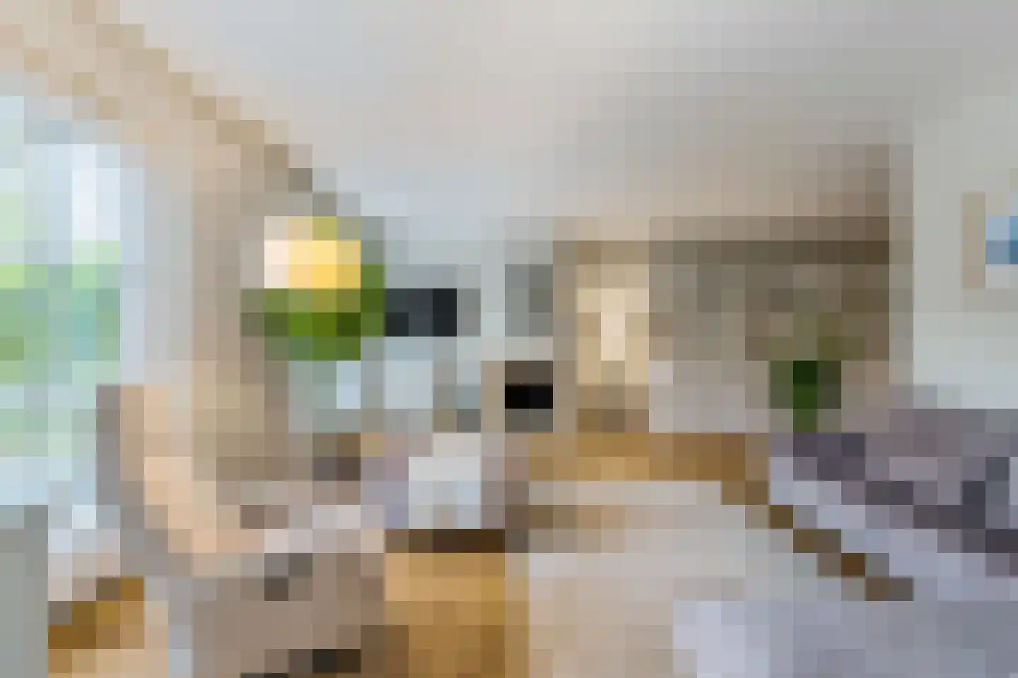 Hanrathsingel 17 Laren thumbnail 19