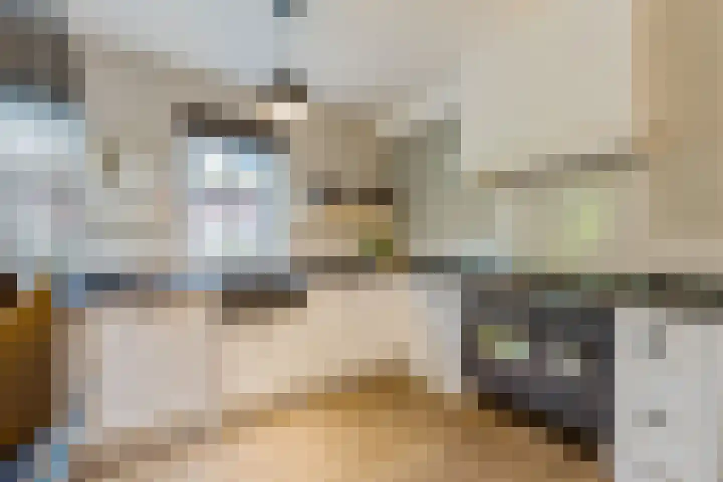 Hanrathsingel 17 Laren thumbnail 30