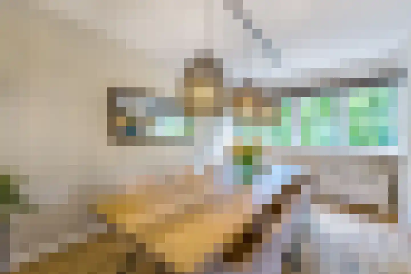 Hanrathsingel 17 Laren thumbnail 34