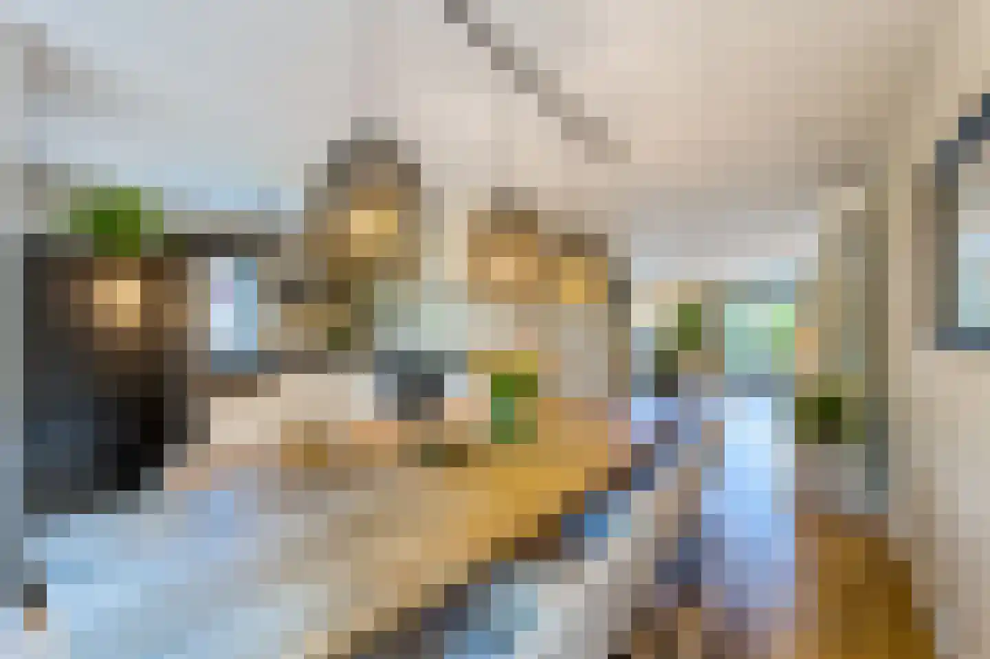 Hanrathsingel 17 Laren thumbnail 35