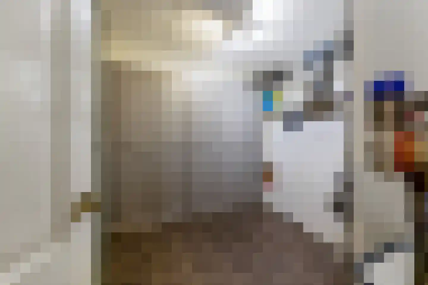 Hanrathsingel 17 Laren thumbnail 66