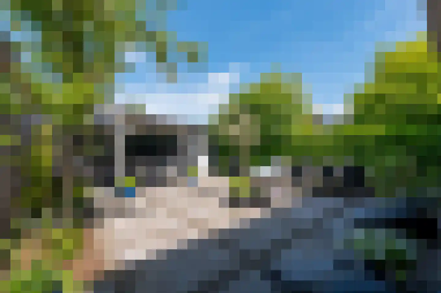 Hanrathsingel 17 Laren thumbnail 68