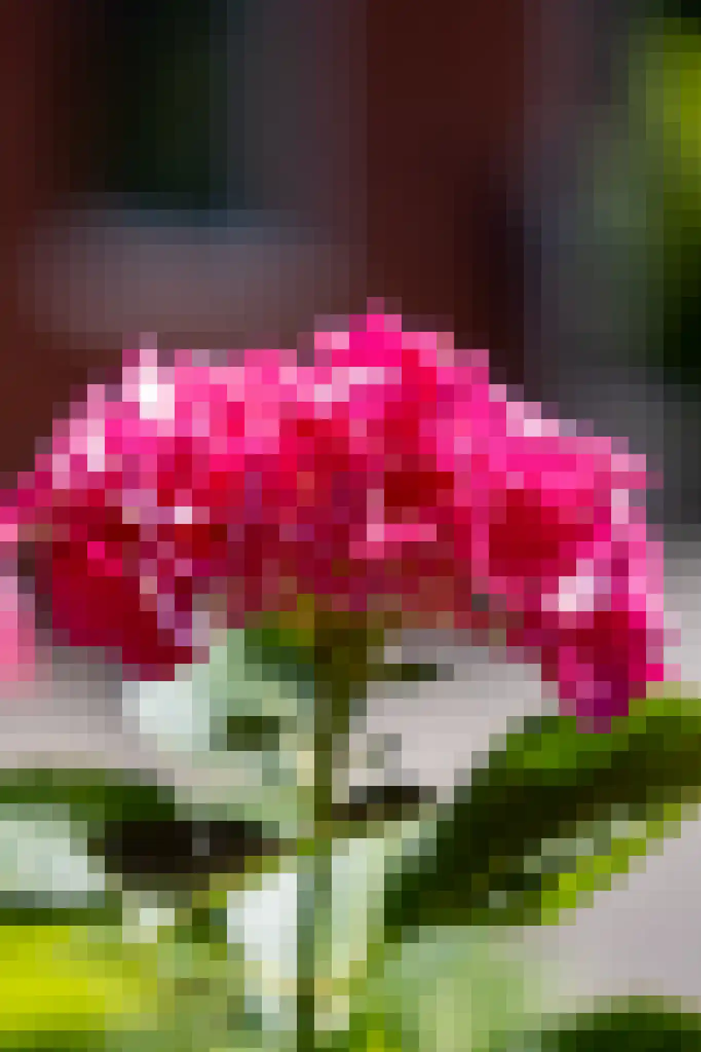 Hanrathsingel 17 Laren thumbnail 76
