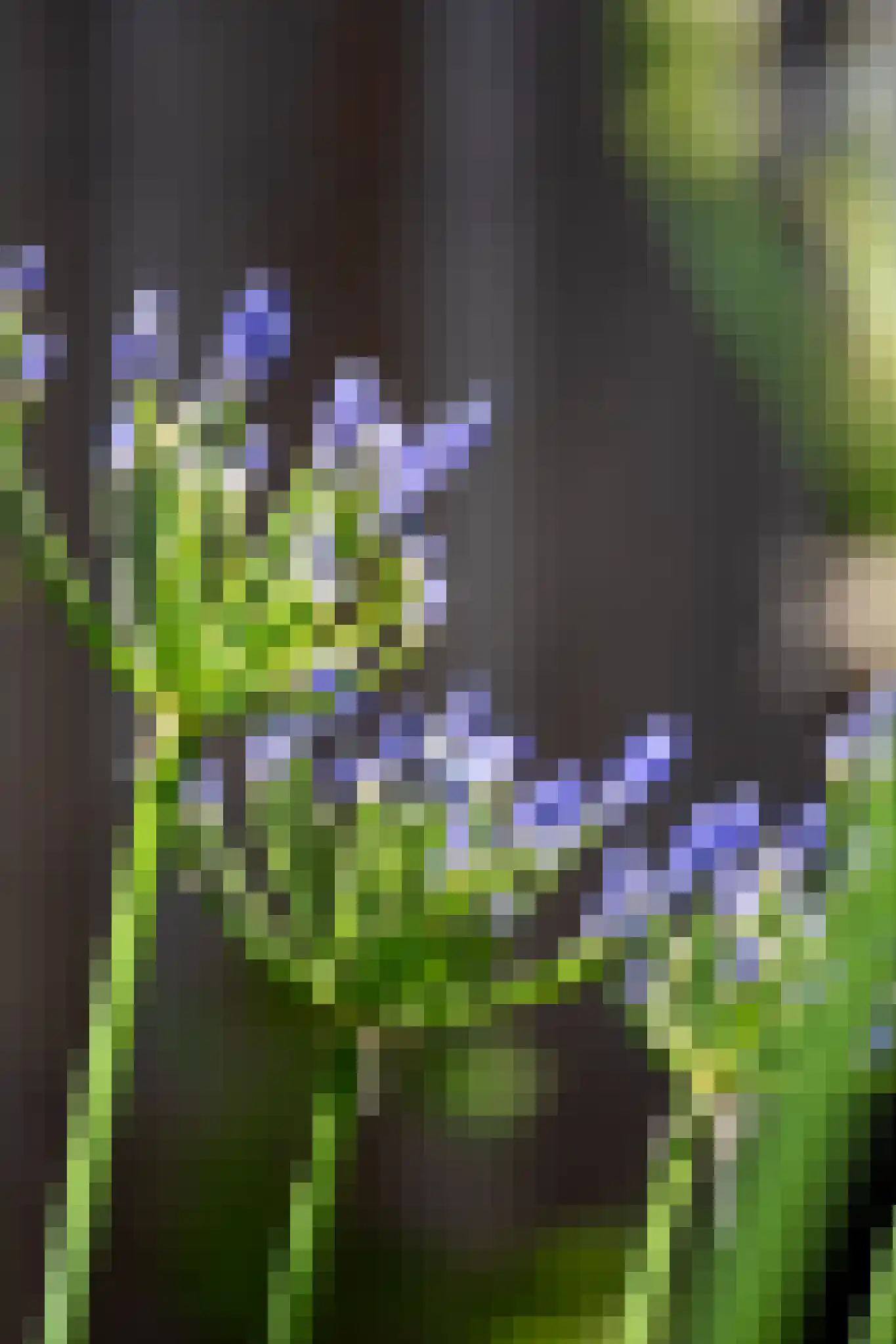 Hanrathsingel 17 Laren thumbnail 78