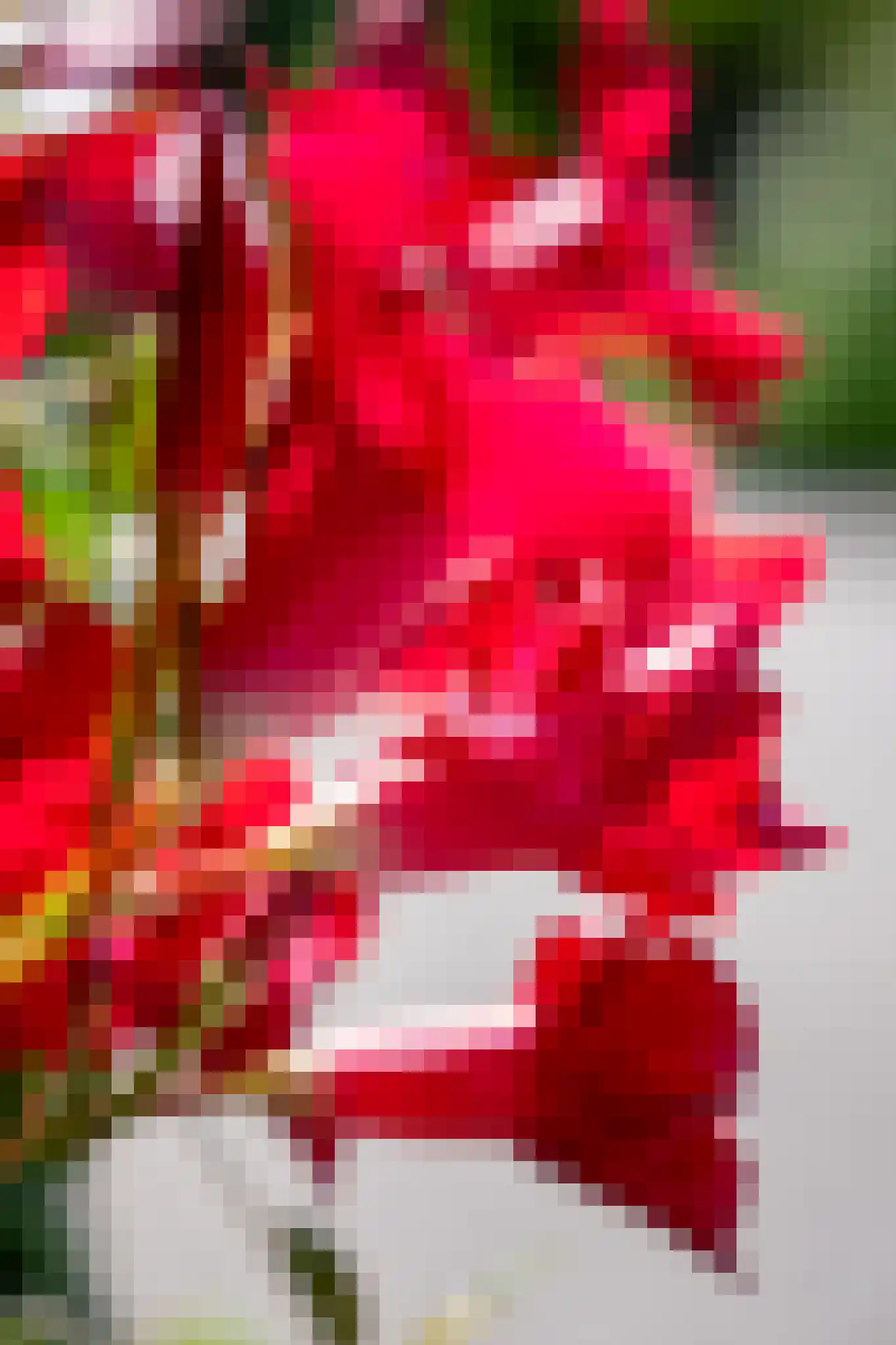 Hanrathsingel 17 Laren thumbnail 81