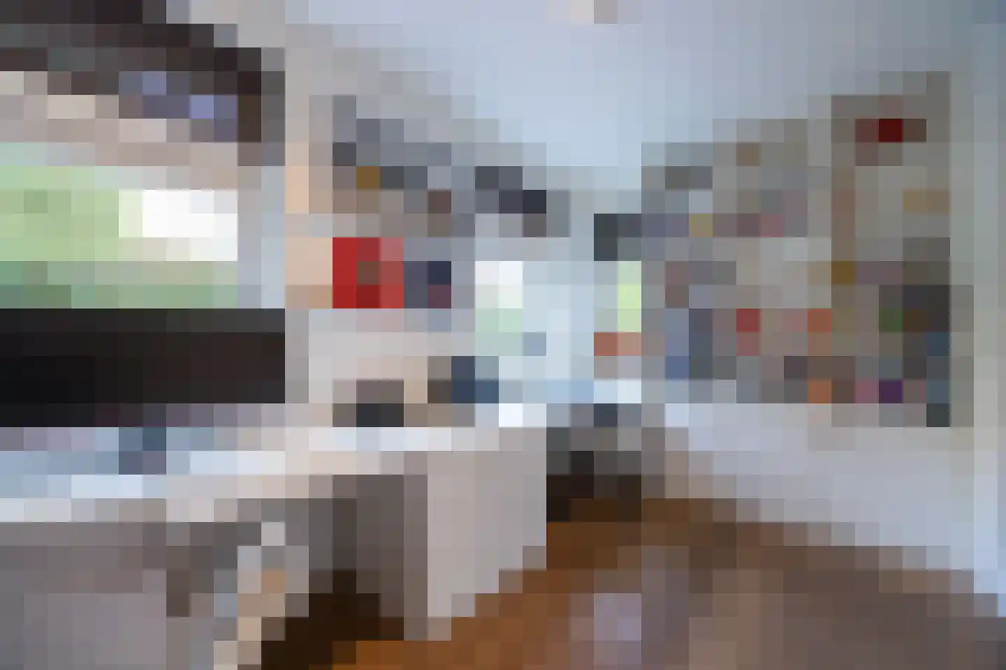 Hanrathsingel 18 Laren thumbnail 19