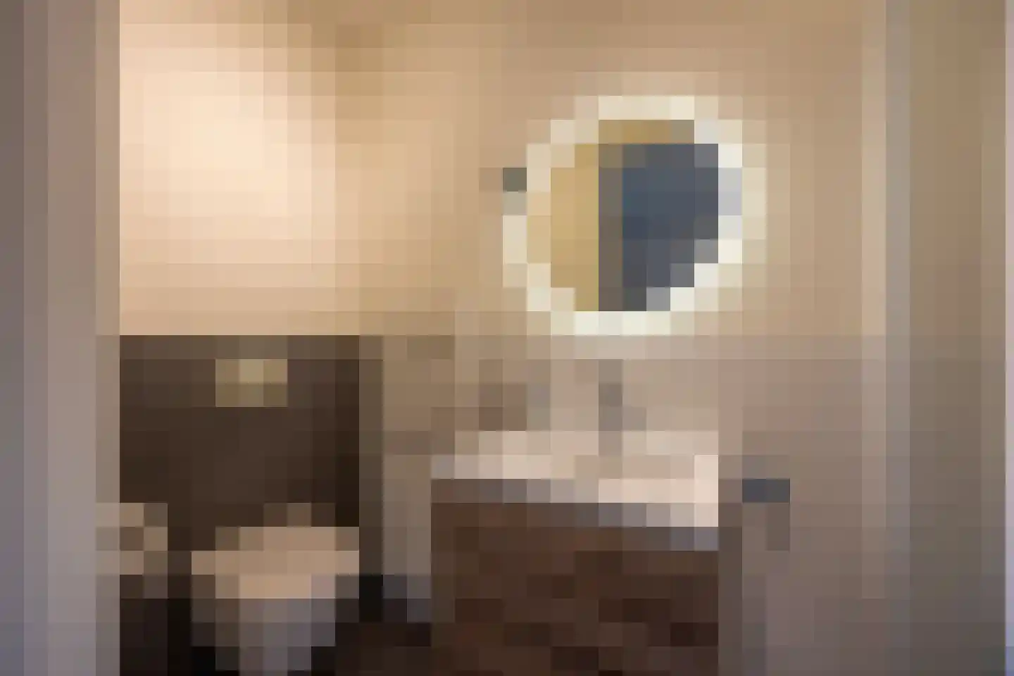 Hanrathsingel 18 Laren thumbnail 32