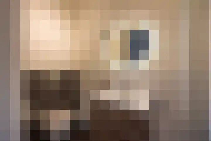 Hanrathsingel 18 Laren thumbnail 32