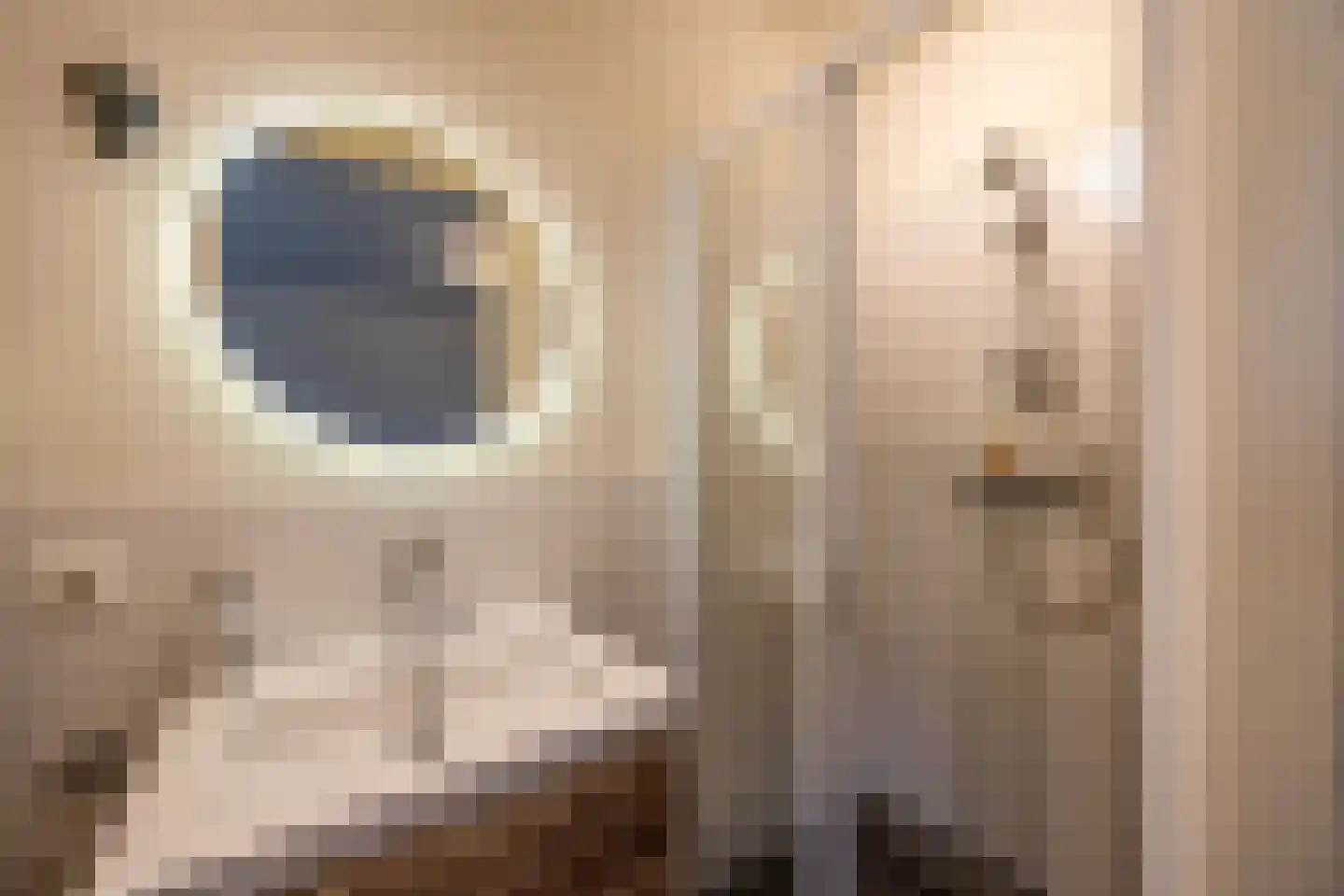 Hanrathsingel 18 Laren thumbnail 33