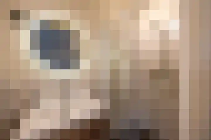 Hanrathsingel 18 Laren thumbnail 33