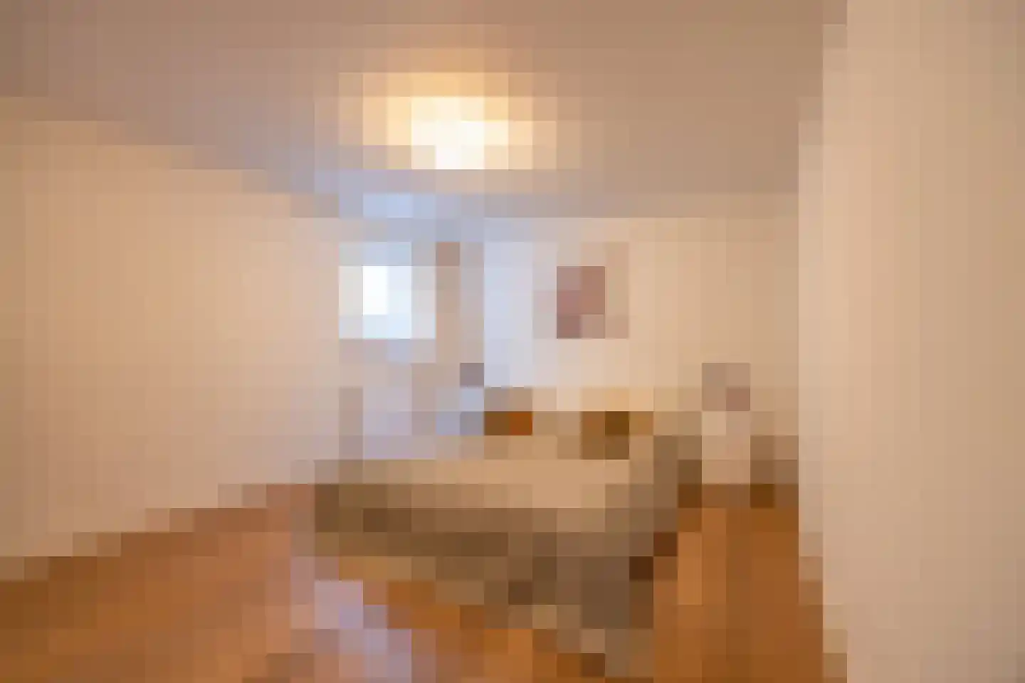 Hanrathsingel 18 Laren thumbnail 37
