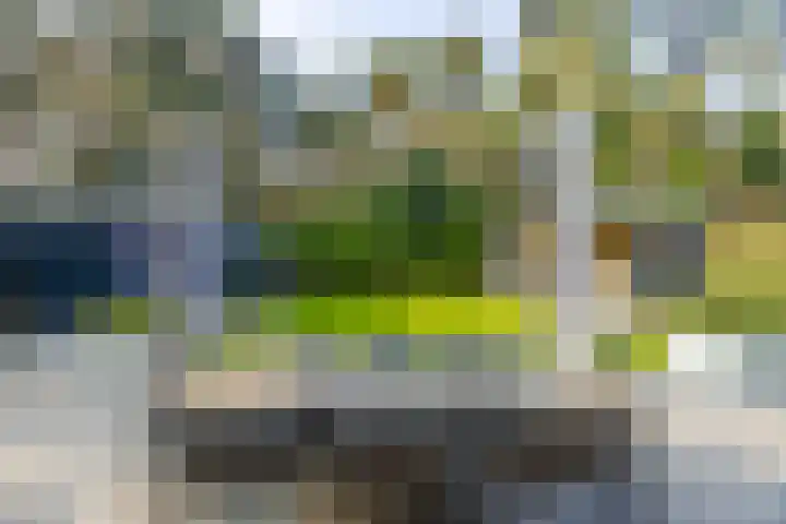 Hanrathsingel 18 Laren thumbnail 49