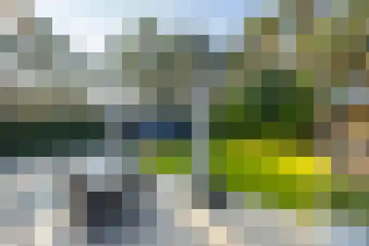 Hanrathsingel 18 Laren thumbnail 50