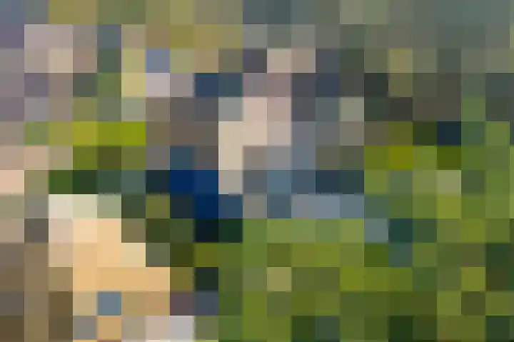 Hanrathsingel 18 Laren thumbnail 51