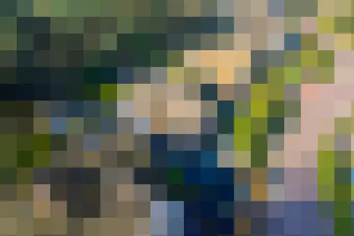 Hanrathsingel 18 Laren thumbnail 56