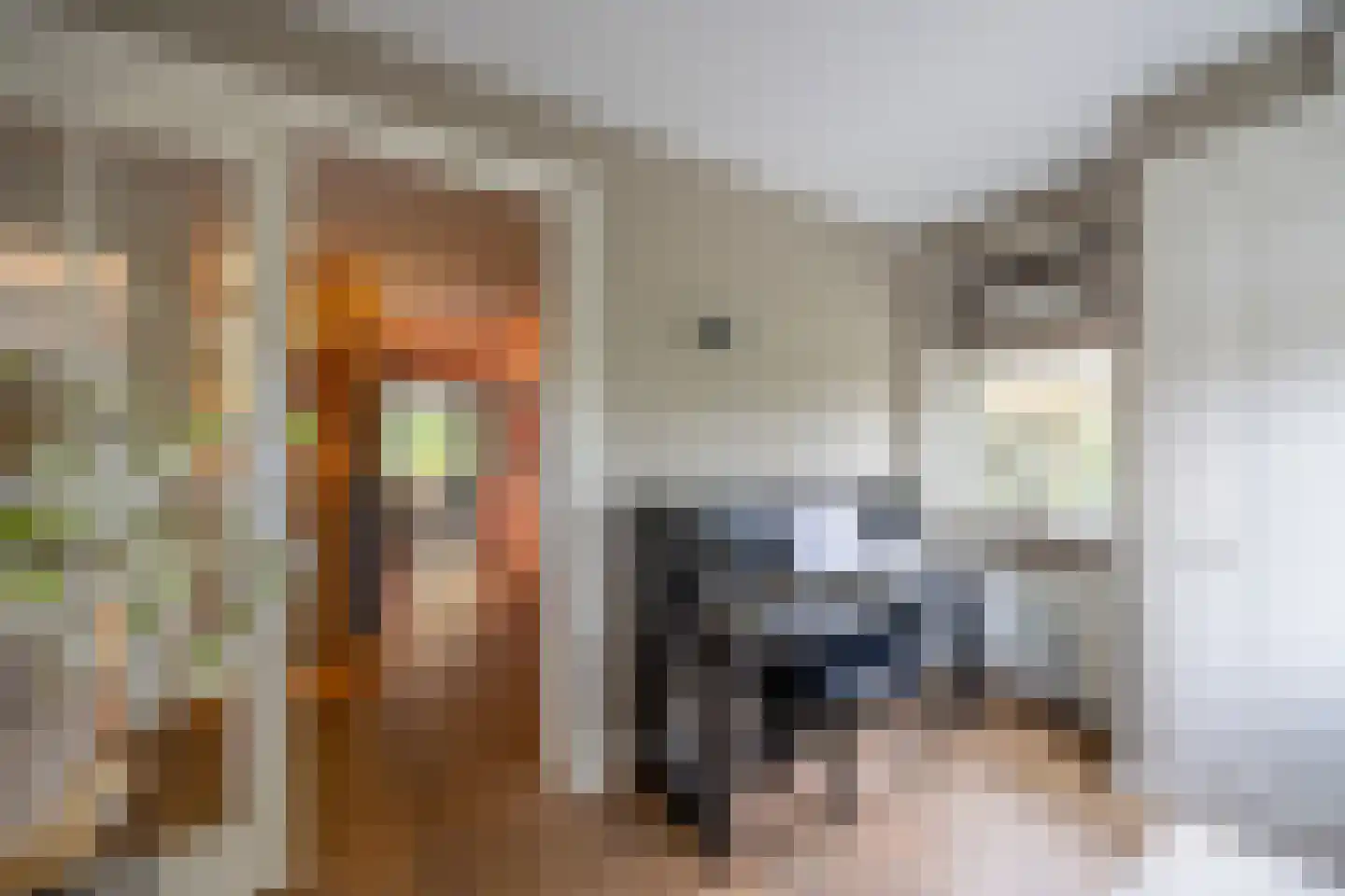 Hanrathsingel 18 Laren thumbnail 6
