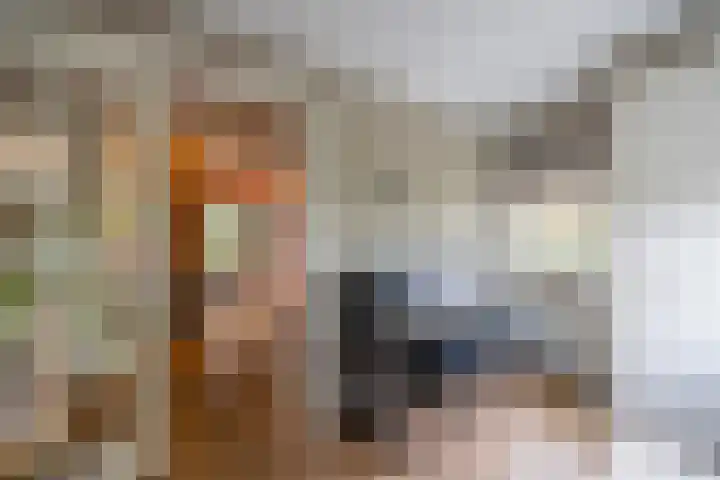 Hanrathsingel 18 Laren thumbnail 6