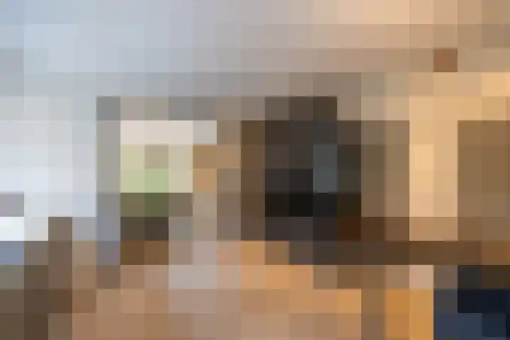 Hanrathsingel 18 Laren thumbnail 9