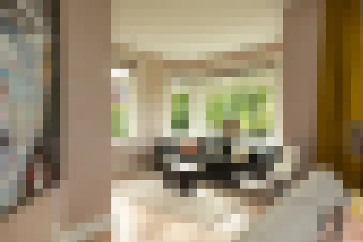 Hanrathsingel 20 Laren thumbnail 11