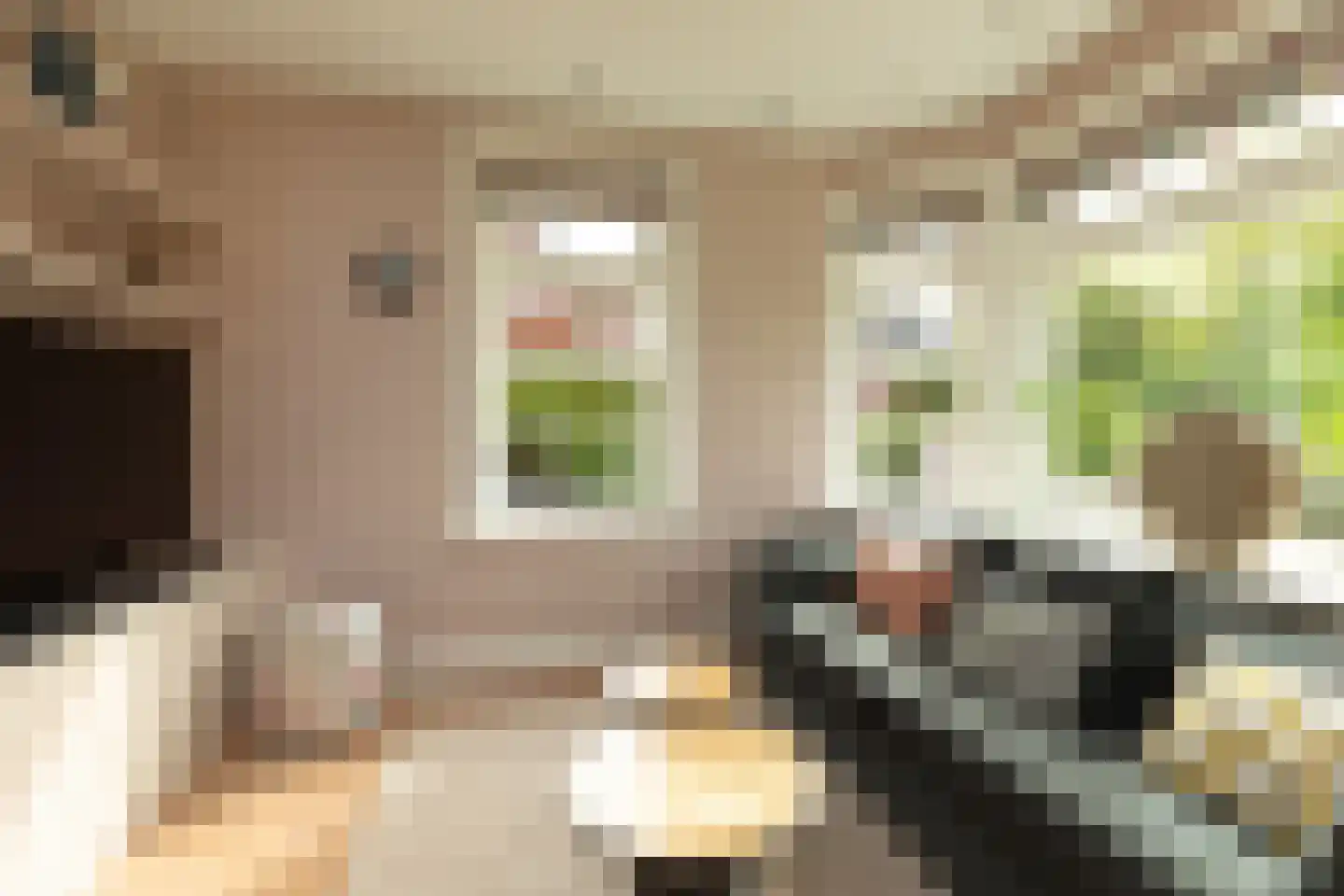 Hanrathsingel 20 Laren thumbnail 12