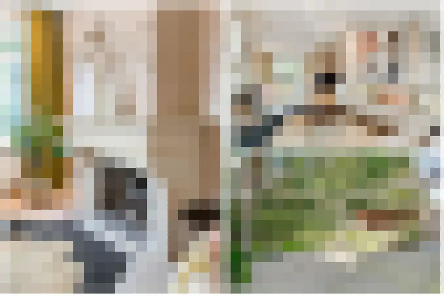 Hanrathsingel 20 Laren thumbnail 13