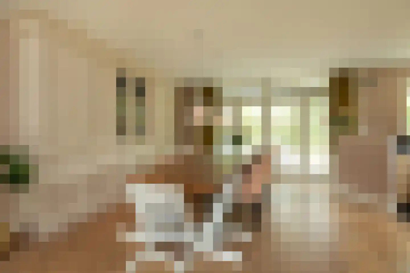 Hanrathsingel 20 Laren thumbnail 13