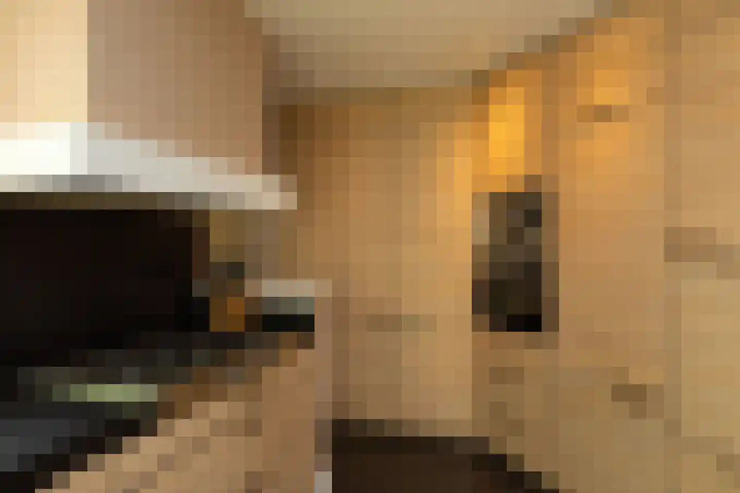 Hanrathsingel 20 Laren thumbnail 16