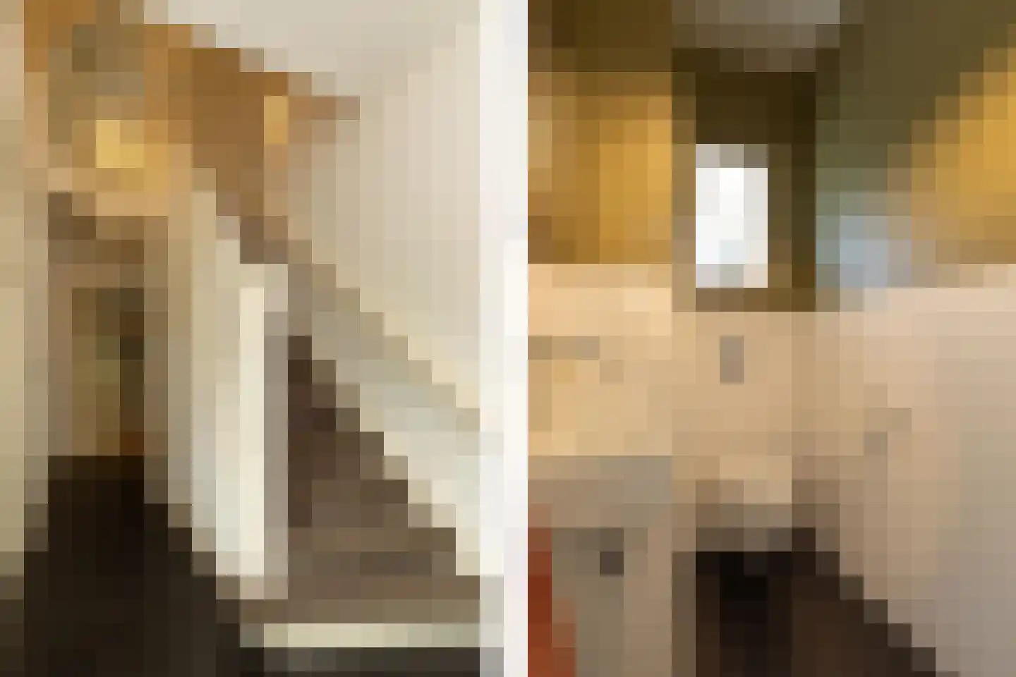 Hanrathsingel 20 Laren thumbnail 17