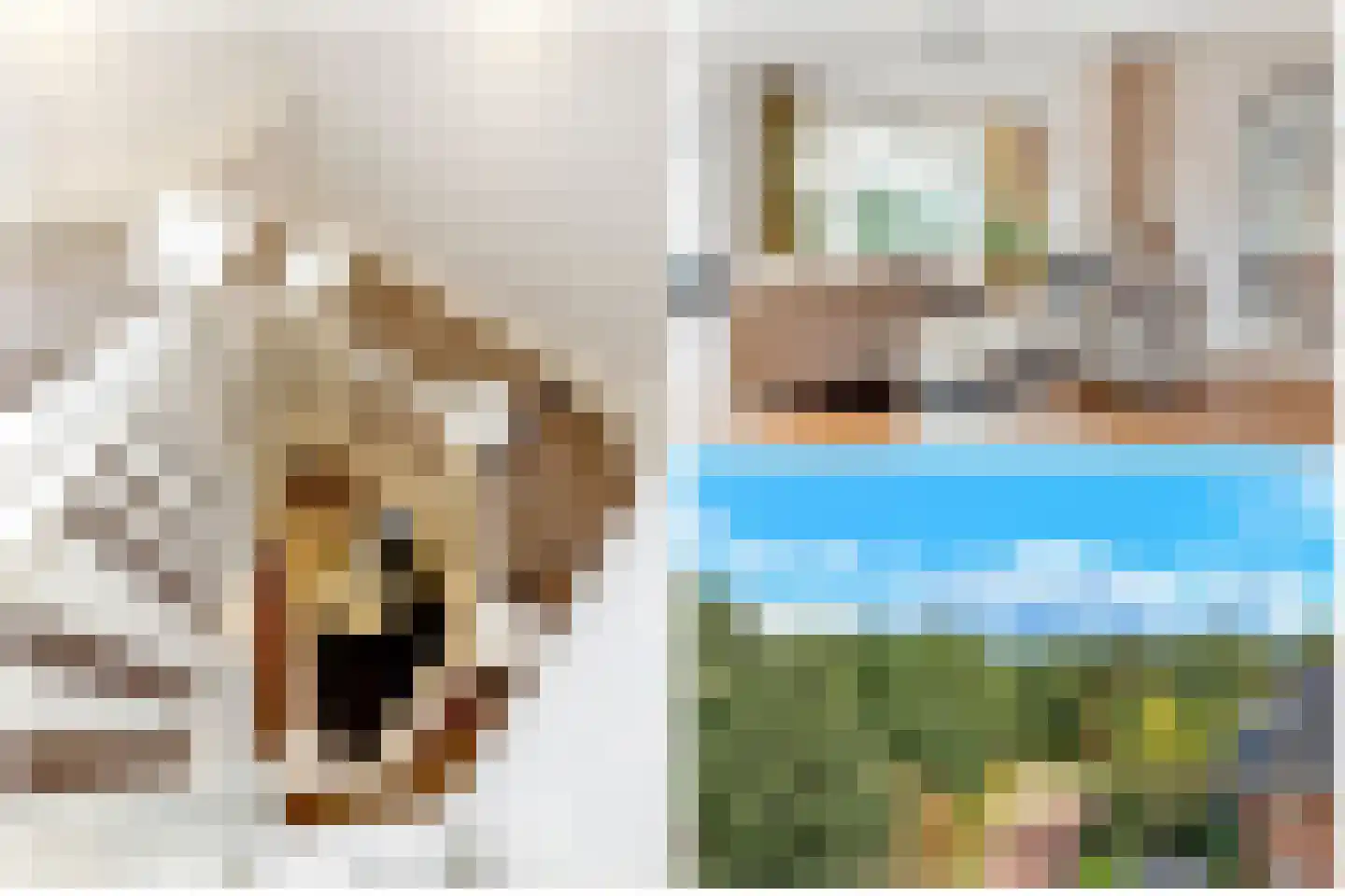Hanrathsingel 20 Laren thumbnail 21