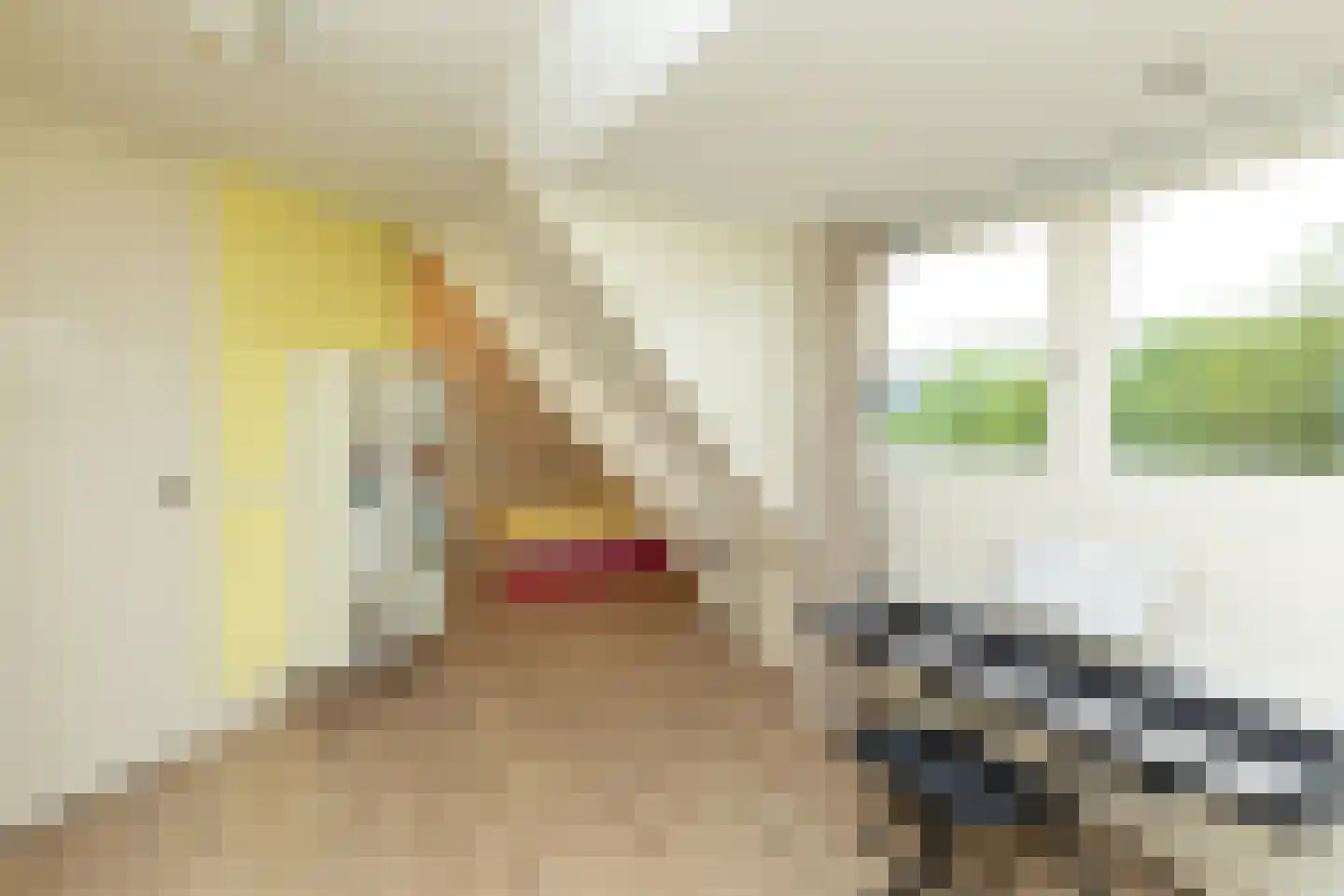 Hanrathsingel 20 Laren thumbnail 27
