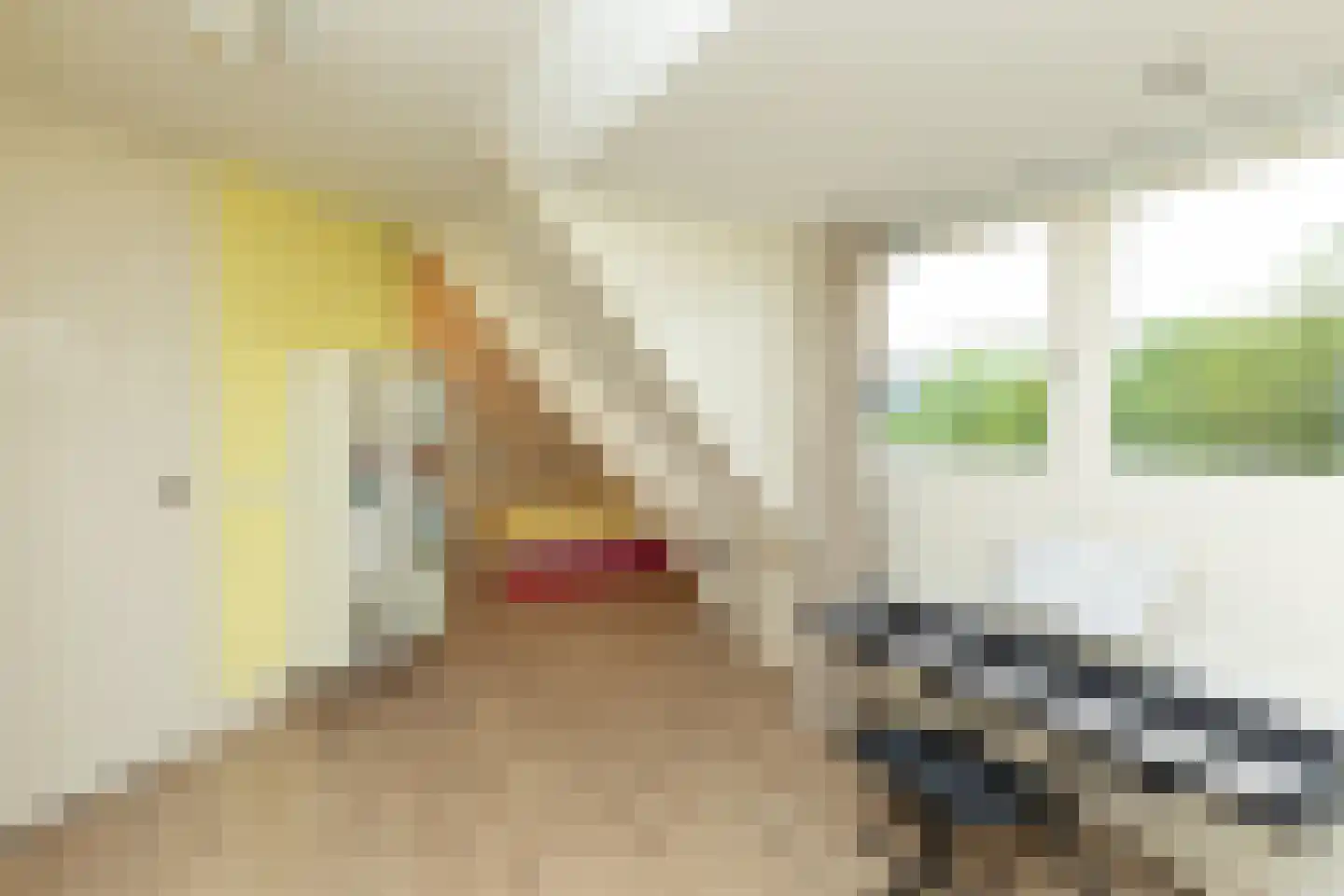 Hanrathsingel 20 Laren thumbnail 27